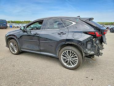 nx: Lexus NX: 2022 г. — 5