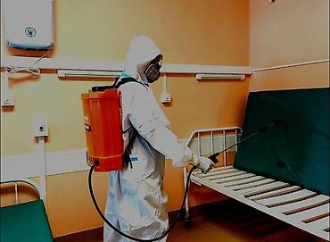 Дезинфекция, дезинсекция: Профессиональная дезинсекция от клопов и тараканов - Комплексная — 5