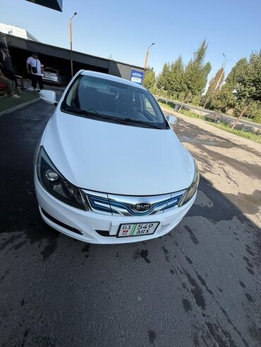 BYD: BYD : 2019 г., 1 л, Автомат, Электромобиль, Седан — 2