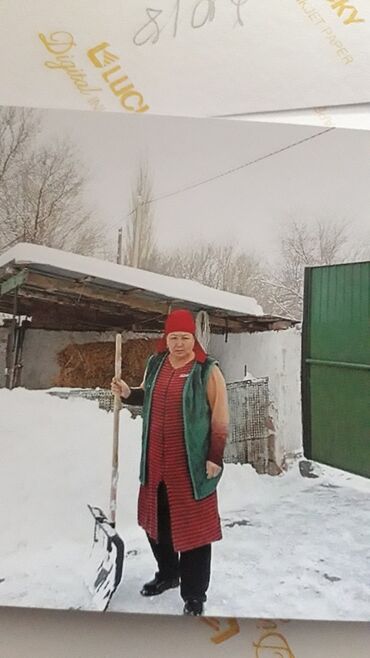 двери в дом: Үй жана бакча үчүн ыңгайлуулуктар