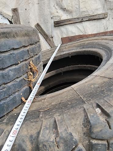 Находки, отдам даром: Грузовые шины на септик или под сеновал - Тип — 4