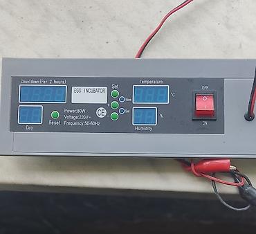 Kənd təssərüfatı avadanlığı: Inkubator ucun 12 volt motor (12 man)ve termo datcik (8 — 5