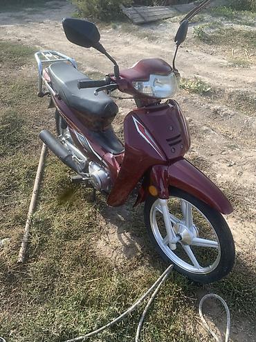 мопеды 50 кубов: Продам мопед-скутер класса Cub (тип Honda Super Cub/Delta) в бордовом — 1