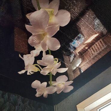 Натяжной потолок: Натяжной потолок 3D потолки, Глянцевое, Матовое — 3