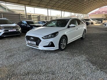 Hyundai: Зык