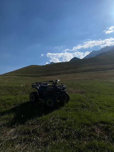 Квадроциклы: Квадроцикл Бензин, 200 куб. см, Взрослый — 1