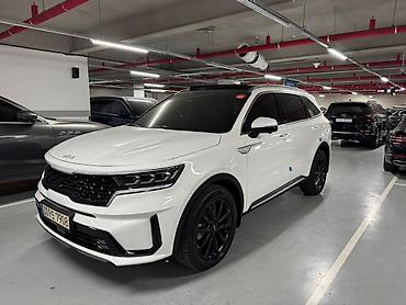 молдинг 124: Kia Sorento: 2020 г., 1.6 л, Вариатор, Гибрид, Кроссовер — 2