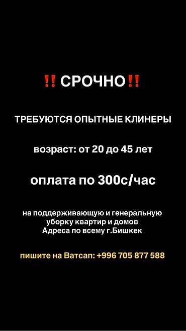 Вакансии: Требуется Уборщик, Квартира — 1