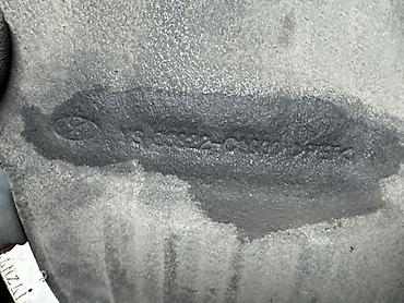 range river: Подкрылок Задний правый Hyundai, 2016 г., Б/у, Оригинал — 2