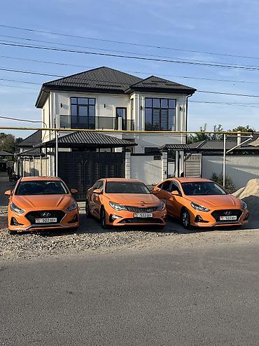 соната насос: Hyundai Sonata: 2020 г., 2 л, Автомат, Газ, Седан — 1