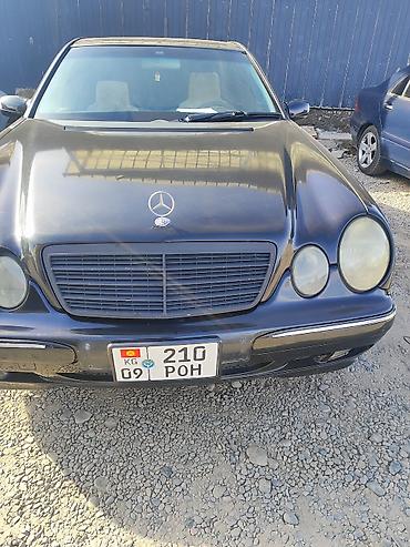 e53 amg: Mercedes-Benz E-Class: 2001 г., 2.4 л, Автомат, Бензин, Седан — 7