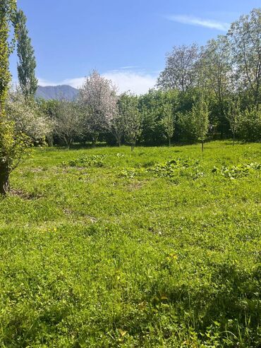 ismayilli buynuz kendi: 25 sot, Tikinti, Mülkiyyətçi, Kupça (Çıxarış)