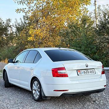 octavia: Skoda Octavia: 2017 г., 1.6 л, Автомат, Бензин, Лифтбек — 5