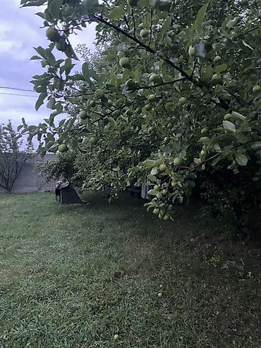 село арчалы: 9 соток, Для строительства, Красная книга — 2