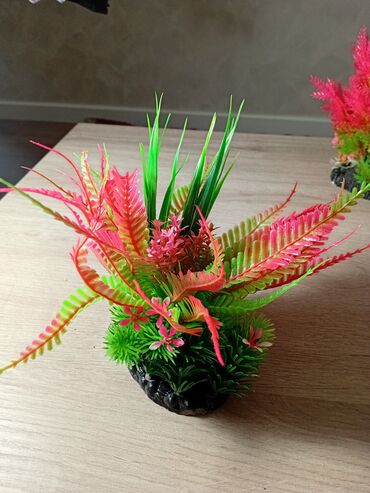 Akvariumlar: Akvaryum uzunluqu 70 eni 26 hündürlüy 46 dı boş 40 man dekor və otlar — 8