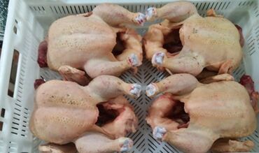 собака доберман сколько стоит: Продаю | Куры | Бройлерная | На забой
