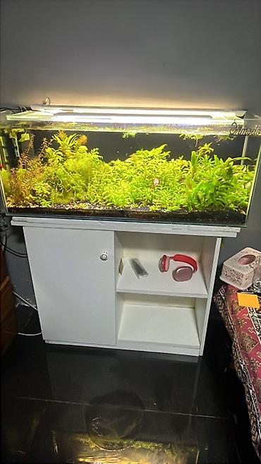 akvarium işıqları: Akvarium-şkaf, 120 l, Ödənişli çatdırılma — 1