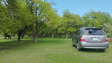 климат контроль одиссей: Honda Odyssey: 2001 г., 3 л, Автомат, Бензин, Минивэн — 7