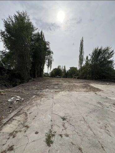 дом красный строитель: 11 соток, Курулуш