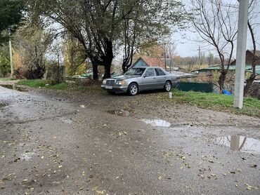 Mercedes-Benz: Mercedes-Benz W124: 1988 г., 2 л, Механика, Бензин, Седан