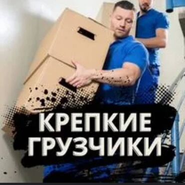 работа ночную смену бишкек: Жүк ташуучу. Тажрыйбалуу