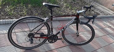 шоссейный велосипед pinarello: Шоссейный велосипед, Рама M (156 - 178 см), Б/у