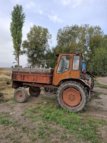 трактор т 16 4х4 купить: Продается Трактор Т-16 с самосвальным кузовом вместе с прицепом Все