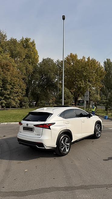 киргизский авито авто: Lexus NX: 2020 г., 2.5 л, Автомат, Гибрид, Кроссовер — 7