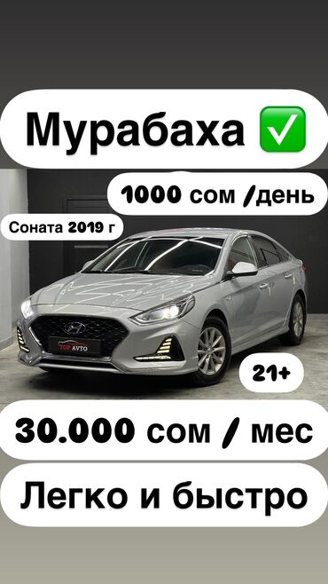 нундай саната: Hyundai Sonata: 2019 г., 2 л, Типтроник, Газ