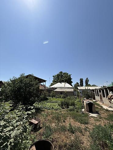 Продажа коттеджей и домов: Продаётся уютный немецкий дом в селе Ананьево (Иссык-Кульская область) — 9