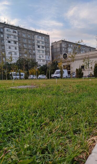 продаю однокомнатную квартиру под псо: 1 комната, Собственник