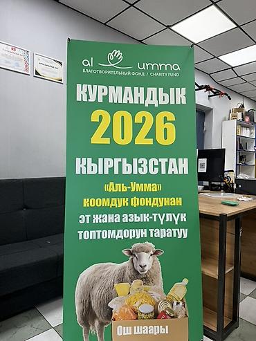 Обучение трейдингу: Печать на роллап, размеры 80см на 2 метра — 3