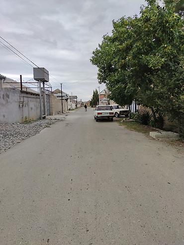 təcili satilir: 6 sot, Tikinti, Mülkiyyətçi, Kupça (Çıxarış) — 3