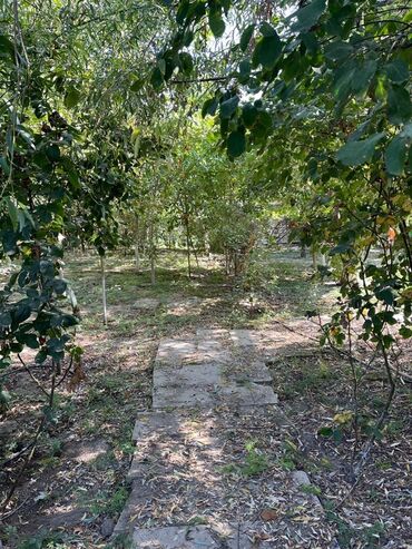 Qonaq otağı dəstləri: Divan — 15