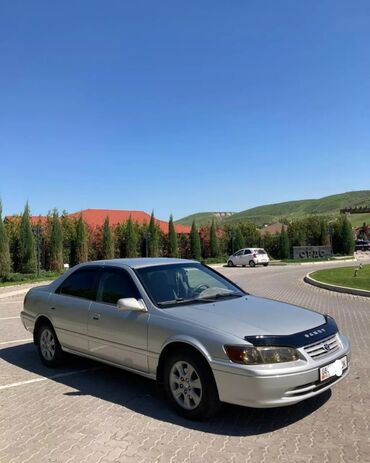 алькантара на панель: Toyota Camry: 2001 г., 2.2 л, Автомат, Бензин, Седан