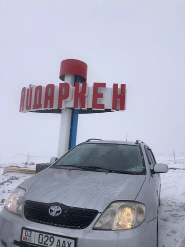 Toyota: Toyota Corolla: 2004 г., 1.6 л, Механика, Бензин, Универсал