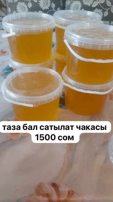 рафаэлло оптом бишкек: Натуральный чистый мёд за кг 500с