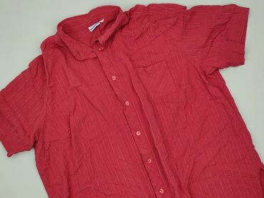 t shirty big bang theory: Women`s shirt, size 2XL