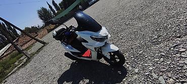 top riding: Скутер DAL DAL (логотип на передней панели), белый цвет — 3