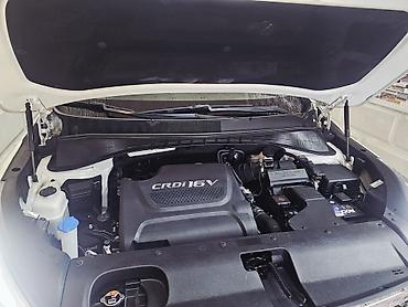 Kia: Kia Sorento: 2 l | 2017 il — 1