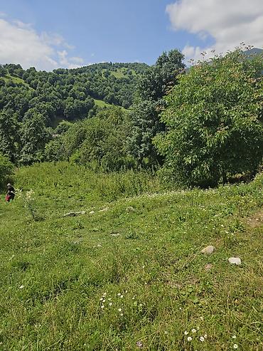 dağ: 25 sot, Tikinti — 8