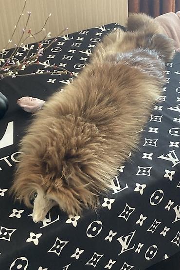 louis: Təbii tülkü dərisindən hazırlanmış boğazlıq/şal - Uzun, sıx və yumşaq — 1