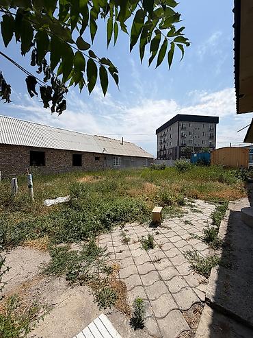 толстого: 6 соток, Для строительства, Красная книга, Договор купли-продажи — 4