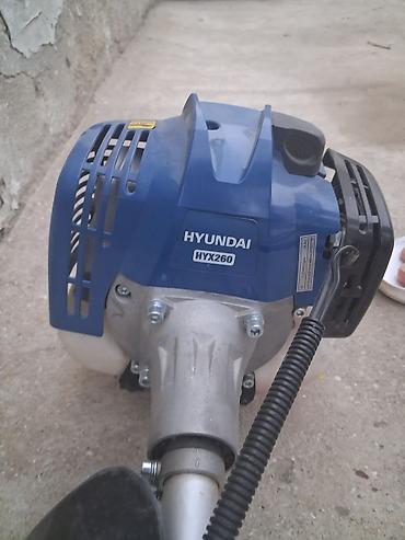 böyürtkən və moruq: Hyundai HYX260 benzotraymer (otbiçən) - Marka/model: HYUNDAI HYX260 - — 3