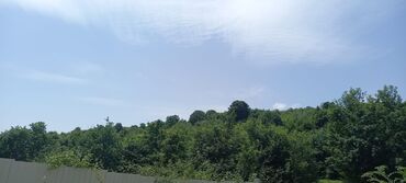 Torpaq sahələrinin satışı: 12 sot, Mülkiyyətçi, Kupça (Çıxarış) — 8