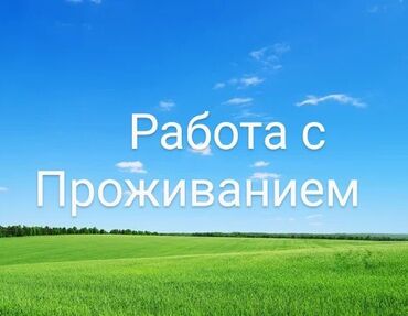 работа для детей 10 11 лет с зарплатой: Требуется Скотник, Оплата Ежемесячно
