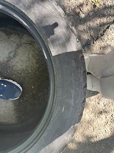 Шиналар жана дисктер: Зимняя шина Bridgestone Blizzak - Модель: Bridgestone Blizzak — 5
