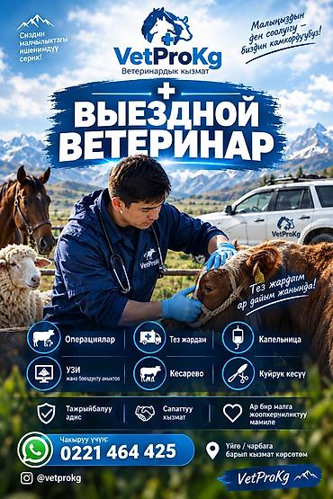 🐄🐑 Ветеринардык кызматтар 🐎🐐 ✔️ Кой, уй, жылкы, эчкилерди кароо жана