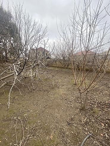 Torpaq sahələrinin satışı: Tikinti — 10