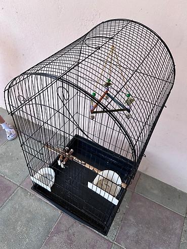 qus xana: Böyük ölçülü quş qəfəsi - Material: dayanıqlı metal tor və plastik — 3